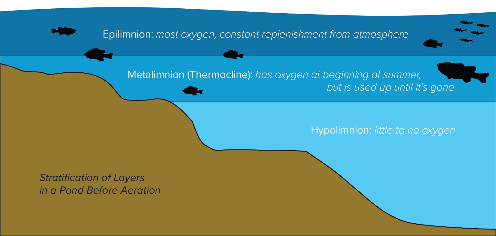 lake-and-pond-stratification-what-when-why-and-how